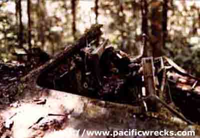 Click For Enlargement