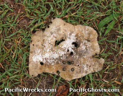 Click For Enlargement