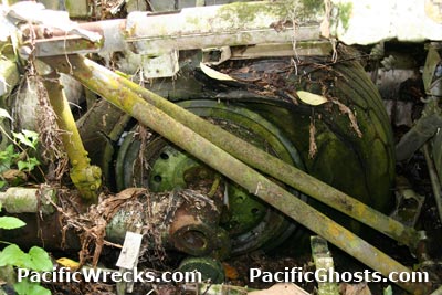 Click For Enlargement