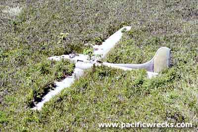 Click For Enlargement