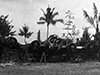 Click For Enlargement