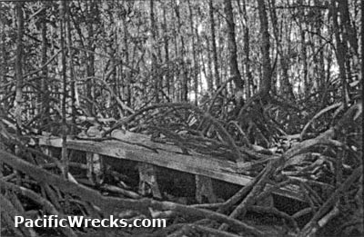 Click For Enlargement