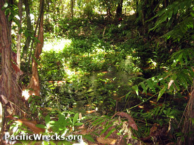 Click For Enlargement