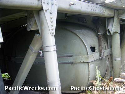 Click For Enlargement