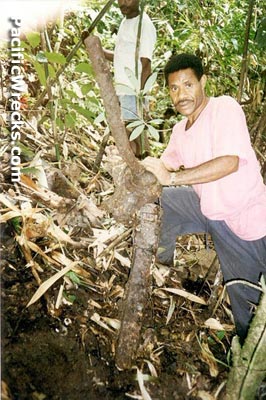 Click For Enlargement