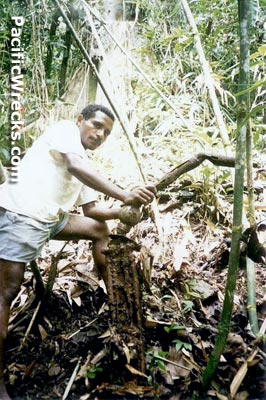 Click For Enlargement