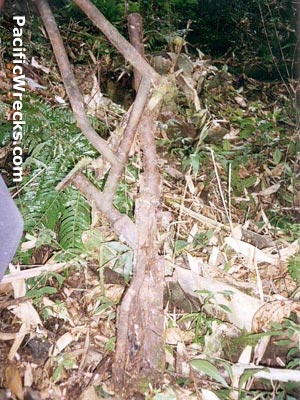 Click For Enlargement