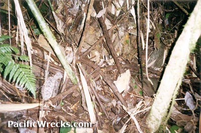 Click For Enlargement