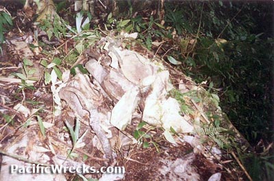 Click For Enlargement