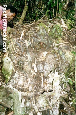 Click For Enlargement