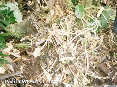 Click For Enlargement