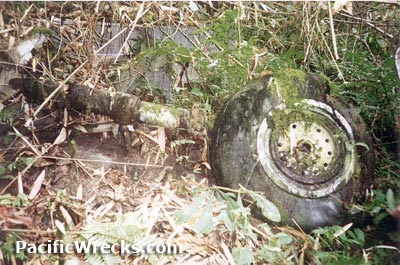 Click For Enlargement