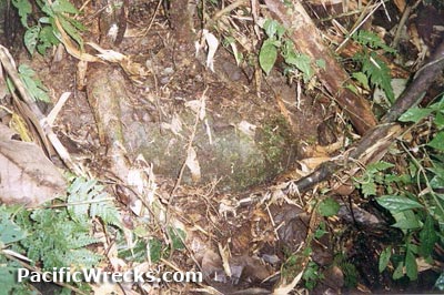 Click For Enlargement