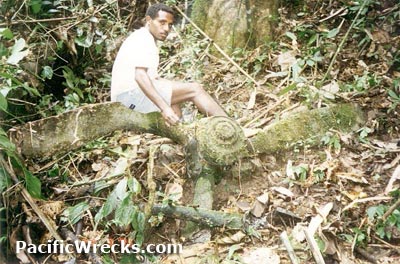 Click For Enlargement