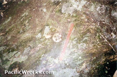 Click For Enlargement