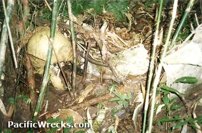 Click For Enlargement