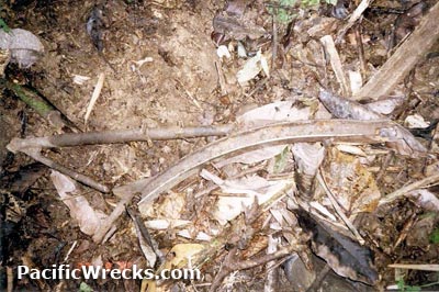 Click For Enlargement