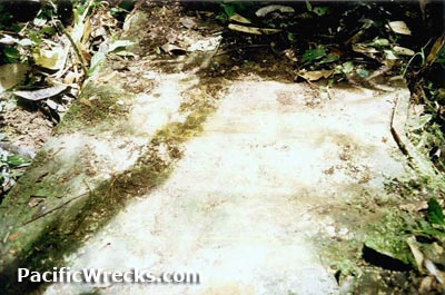 Click For Enlargement