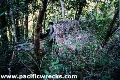 Click For Enlargement