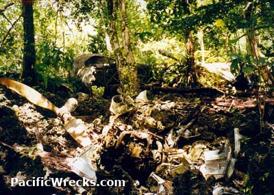 Click For Enlargement