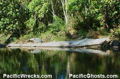 Click For Enlargement