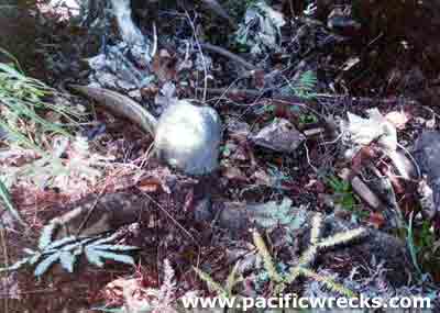 Click For Enlargment