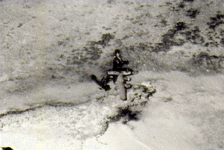 Click For Enlargement