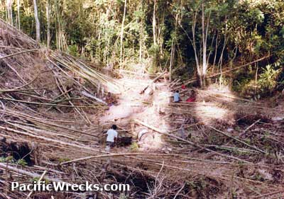 Click For Enlargement