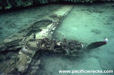 Click For Enlargement