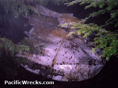 Click For Enlargement