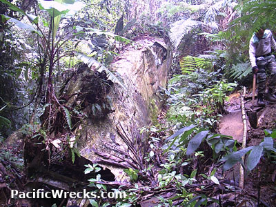 Click For Enlargement