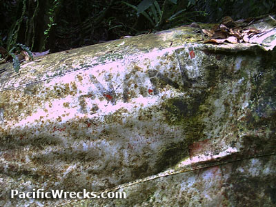 Click For Enlargement