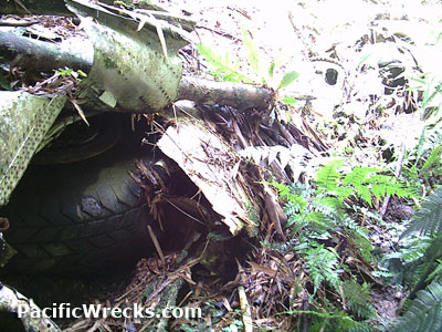 Click For Enlargement