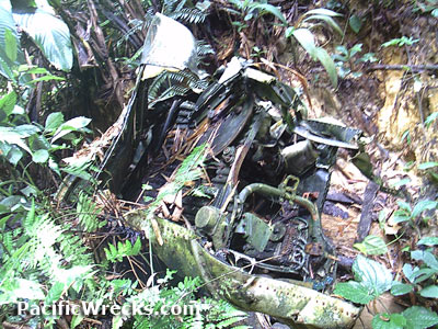 Click For Enlargement