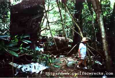 Click For Enlargement