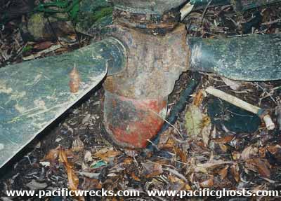 Click For Enlargement