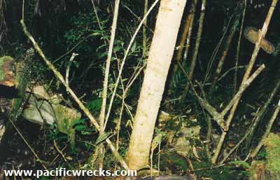 Click For Enlargement