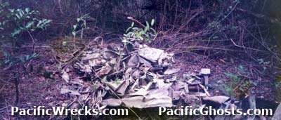 Click For Enlargement