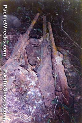 Click For Enlargement