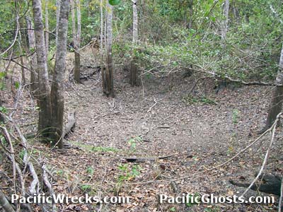 Click For Enlargement