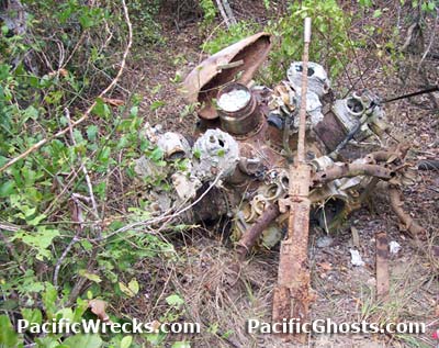 Click For Enlargement