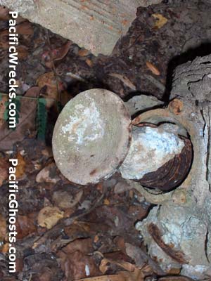 Click For Enlargement