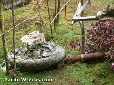 Click For Enlargement