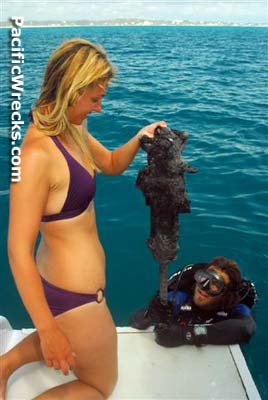 Click For Enlargement