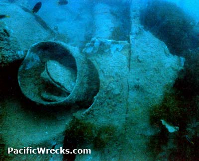 Click For Enlargement