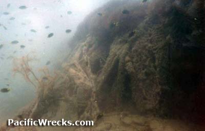 Click For Enlargement