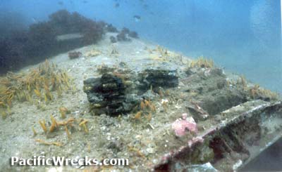 Click For Enlargement