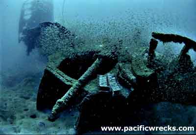 Click For Enlargement