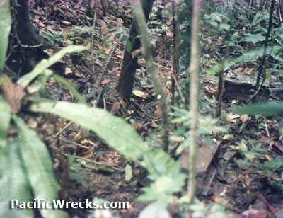 Click For Enlargement