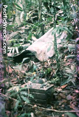 Click For Enlargement